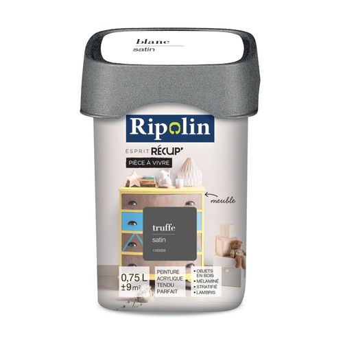 Peinture acrylique Ripolin de rénovation pièce à vivre 0L75 truffe