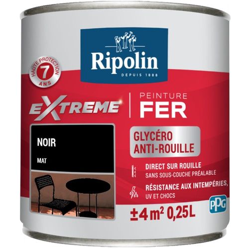 Peinture fer extérieur RIPOLIN Extrême mat noir 0,25L