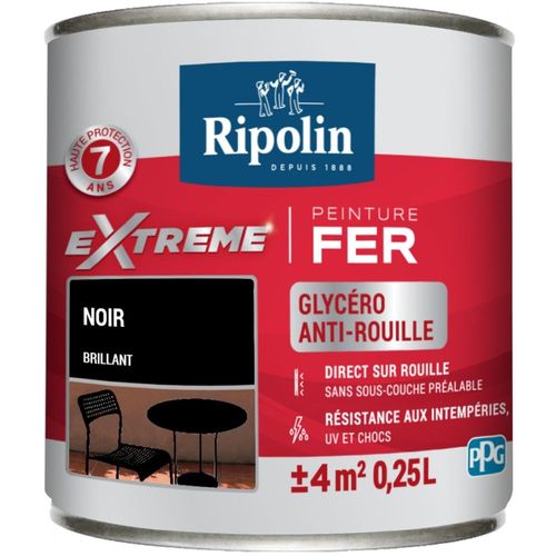 Peinture fer extérieur RIPOLIN Extrême brillant noir 0,25L