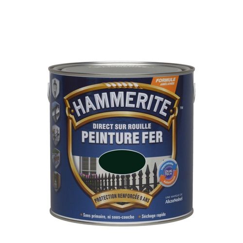 Peinture fer HAMMERITE Direct sur rouille brillante 2,5L vert forêt