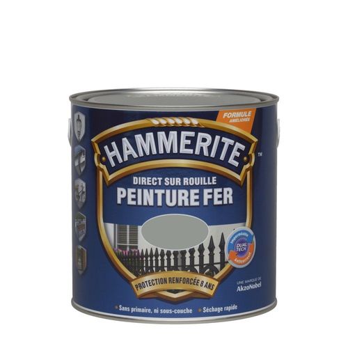 Peinture fer HAMMERITE Direct sur rouille brillante 2,5L gris nuage
