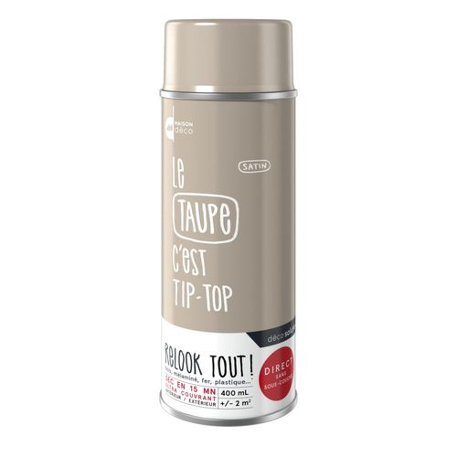 Peinture aérosol Maison Deco RELOOK TOUT taupe satin 400 ML