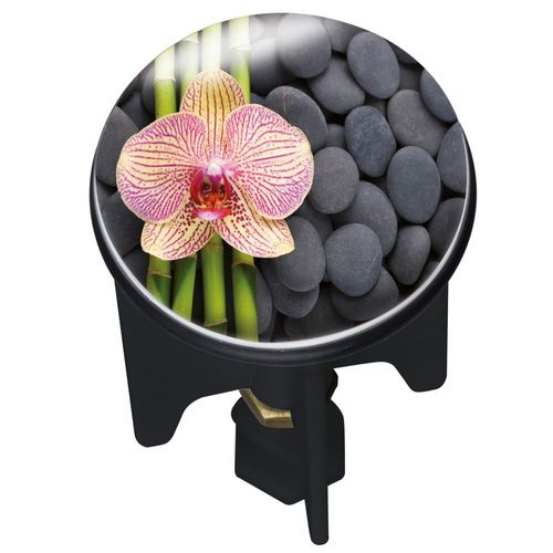 Bonde d'écoulement Pluggy Spa WENKO