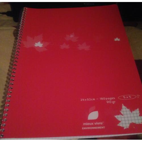 Cahier 24x32 Petits Carreaux