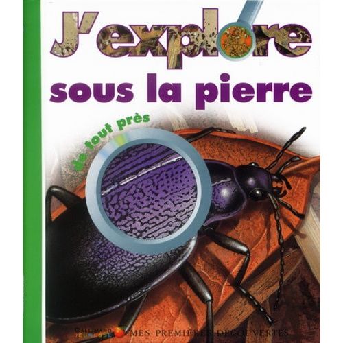 J'explore Sous La Pierre De Tout Près