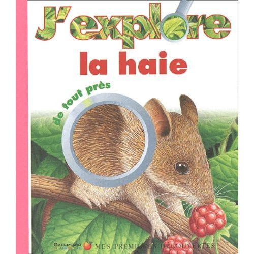 J'explore La Haie De Tout Près