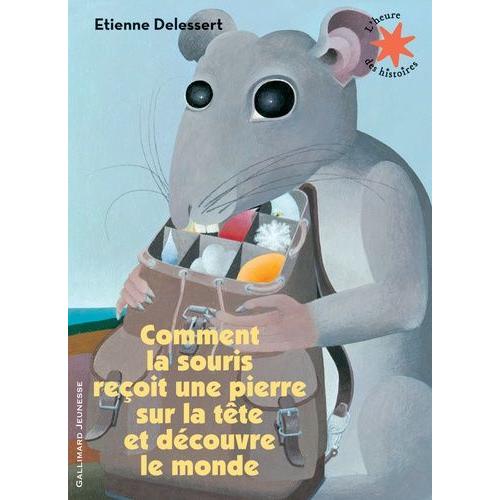 Comment La Souris Reçoit Une Pierre Sur La Tête Et Découvre Le Monde