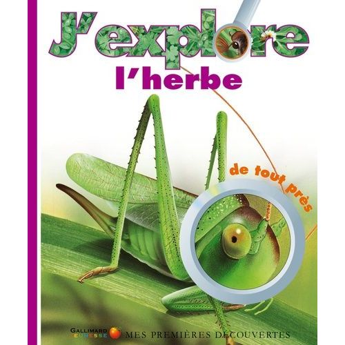 J'explore L'herbe De Tout Près