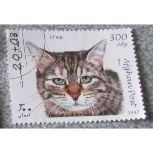 Timbre Afghan Post 300 Afg - Série Chats : Manx - Date DÉmission 9/03/1997 - Oblitéré
