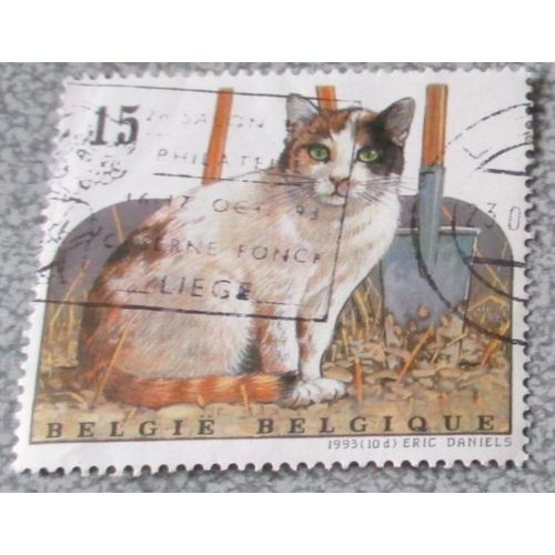 Timbre Belgique 15 Fr - Chat Domestique - 10d Eric Daniels - Polychrome - Série Chats - Date DÉmission 4/09/1993 - Oblitéré