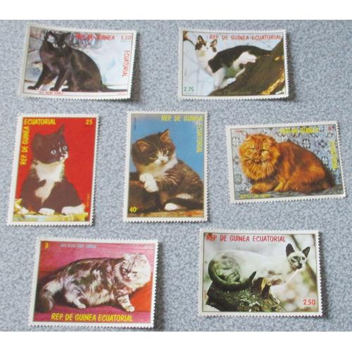 Lot 7 Timbres Guinee Equatoriale Non Obliteres Serie Chats 1978 Siamois Blue Point Bicolore Poils Courts Tabby Silver Poils Longs Burmese Marron Tabby Roux Poils Longs Europeen 2 Timbres 57x40mm Rakuten