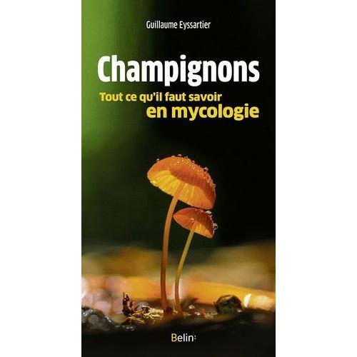 Champignons - Tout Ce Qu'il Faut Savoir En Mycologie