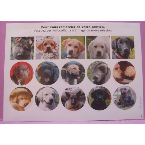 Plaquette De 15 Petits Stickers " Chien "