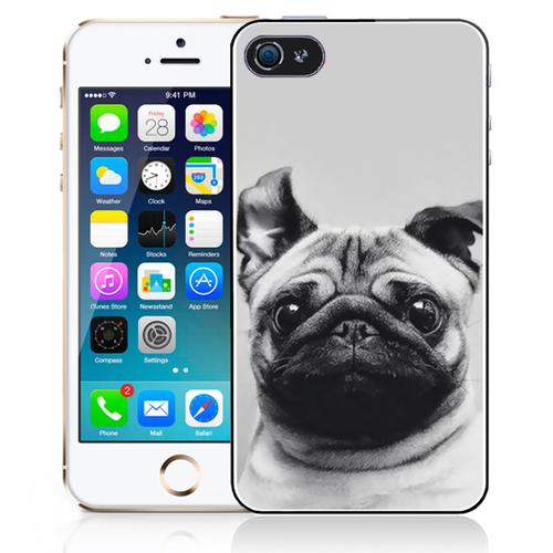 Coque Pour Iphone 5/5s Chien Carlin Oreilles