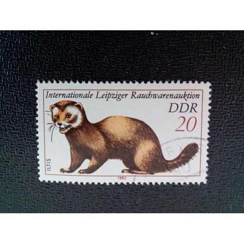 Timbre Allemagne / Rda Yt 2331 Putois D'europe (Mustela Putorius) 1982 ( 9412 )