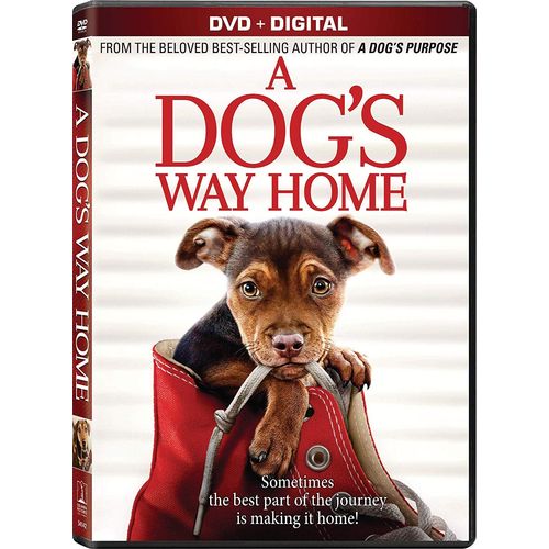L'incroyable Aventure De Bella (A Dog¿S Way Home)