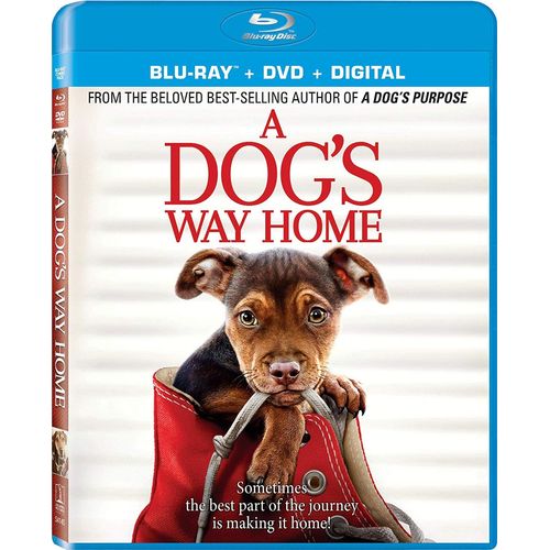 L'incroyable Aventure De Bella (A Dog¿S Way Home)