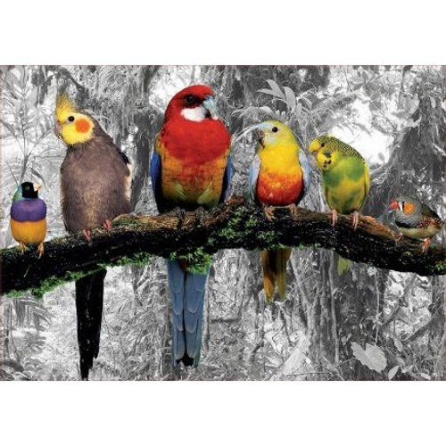 Puzzle Oiseaux Dans La Jungle - 500 Pieces - Educa Collection Animaux Perroquet