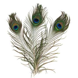 Plumes à Bout argenté 4x19 cm 10 pièces MegaCrea