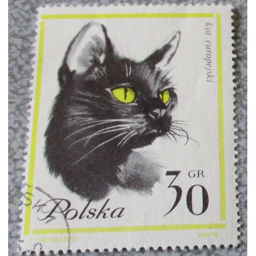 Timbre Pologne 30gr Grosz - Polska Domestic Chats - Série Chats : Chat Européen - Polychrome - Date De Sortie 30/04/1964 - 39x51mm - Oblitéré