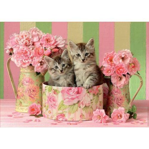 Puzzle 2 Chatons Dans Une Boite Et Des Bouquets De Roses - 500 Pieces - Educa - Collection Animaux