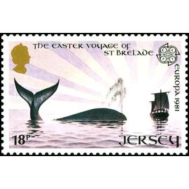 Jersey Europa 1981 18