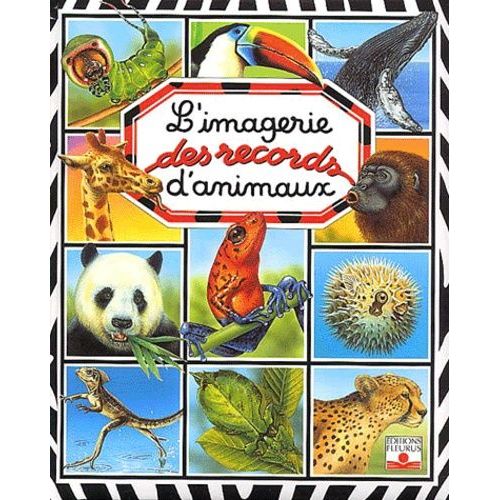 L'imagerie Des Records D'animaux