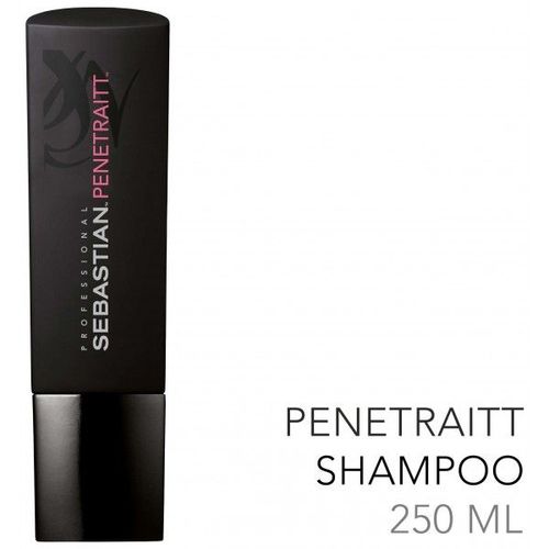 Shampooing Pour Cheveux Abîmés Penetraitt Sebastian 250ml 