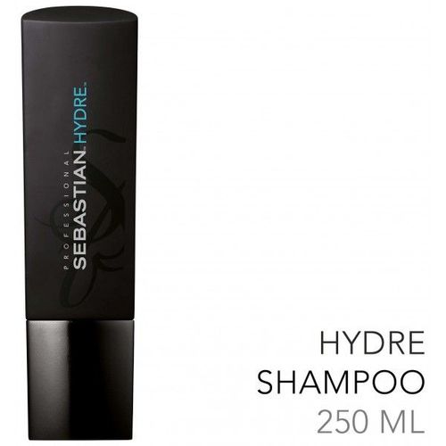 Shampooing Pour Cheveux Secs Hydre Sebastian 250ml 