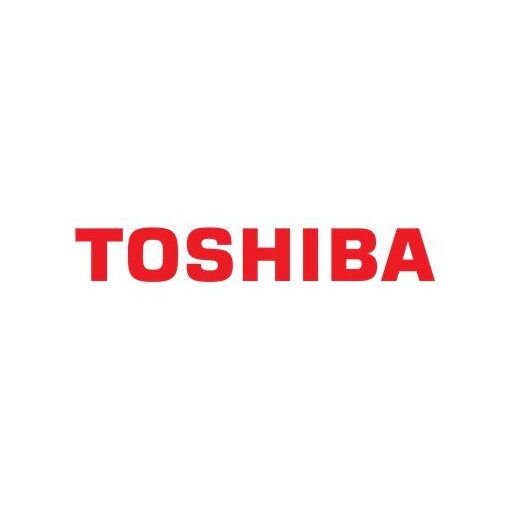 Toshiba - Adaptateur secteur - CA 110/220 V - noir - pour Dy