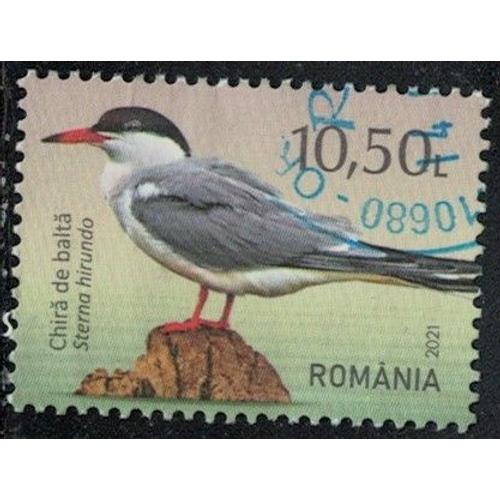 Roumanie 2021 Oblitéré Used Oiseau Sterna Hirundo Sterne Pierregarin Y&t Ro 6679 Su