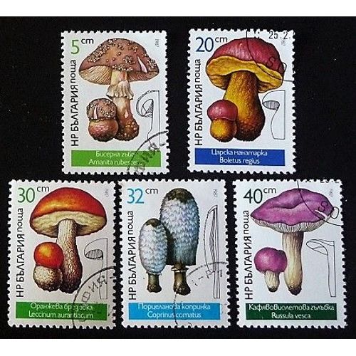 Bulgarie Oblitéré Y Et T N° 3071 À 3075 Lot De 5 Timbres De 1987 Champignons