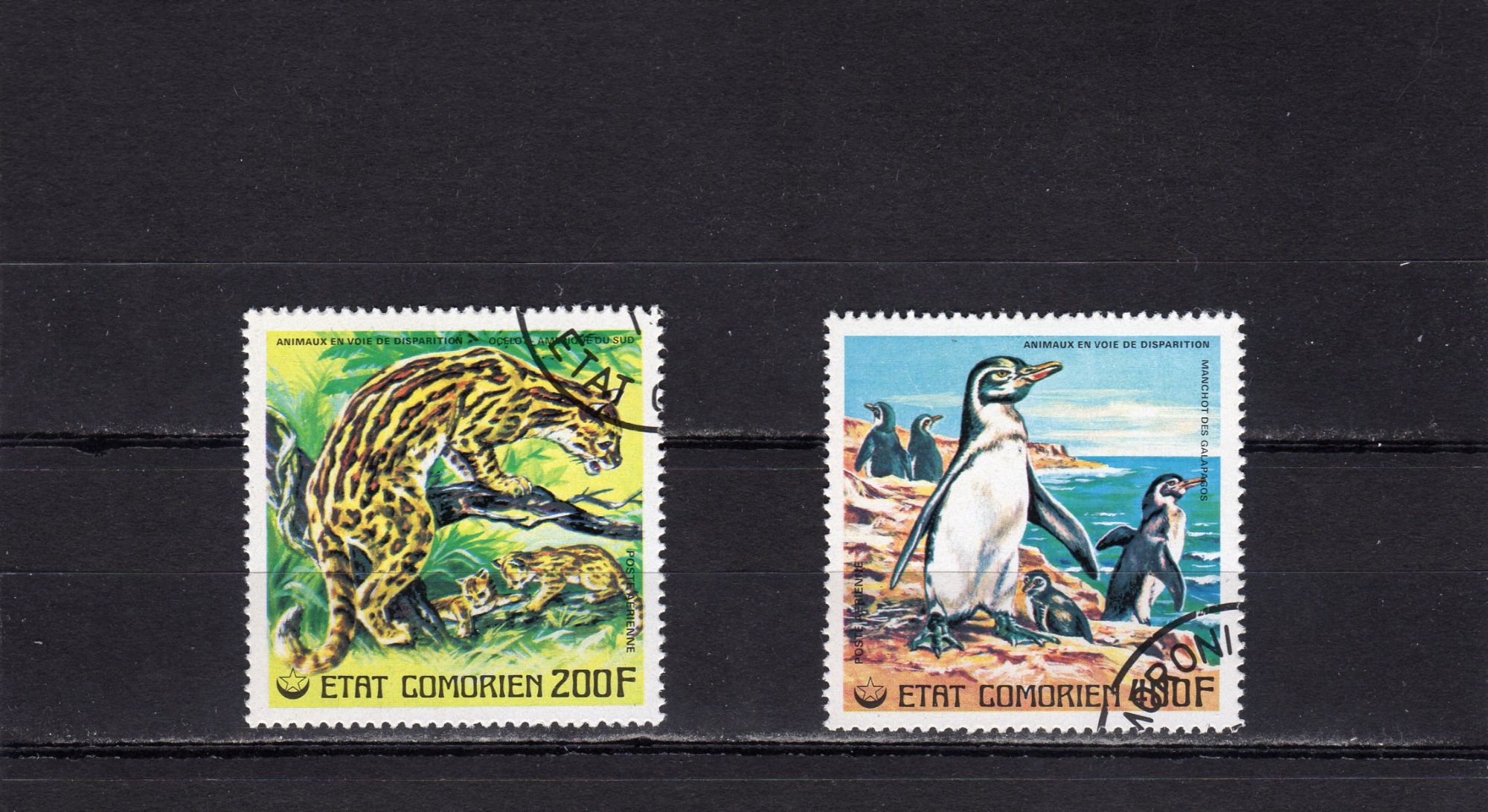 Timbres De Poste Aérienne Des Comores (Animaux En Voie De Disparition)