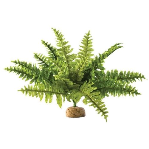 Exo-Terra Fougere De Boston - Gm - Pour Reptile Ou Amphibien