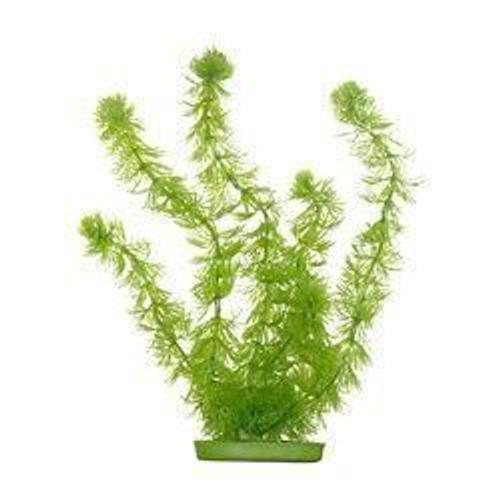 Aqua Plantes Artificielles Marina Hornwort 20 Cm - Plastiques - Vertes - Pour Aquarium