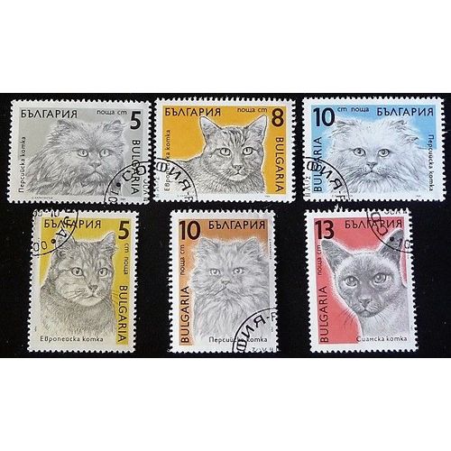 Bulgarie Oblitéré Y Et T N° 3286 À 3291 Lot De 6 Timbres De 1989 Chats (Série Complète)