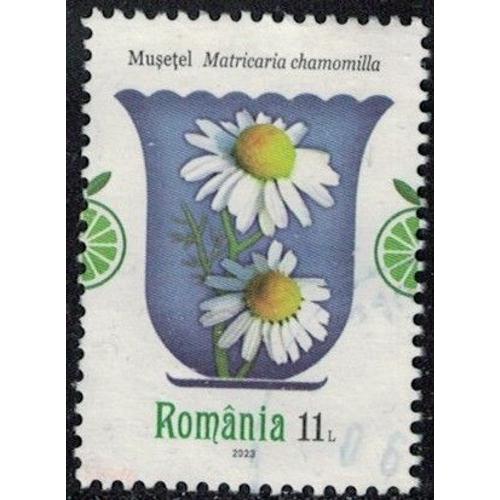Roumanie 2023 Oblitéré Used Plantes Médicinales Matricaria Chamomilla Camomille Sauvage Y&t Ro 6967 Su