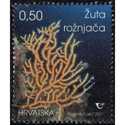 Croatie 2020 Used Biologie Maritime Eunicella Cavolini Gorgone Jaune Y&t Hr 1332 Su