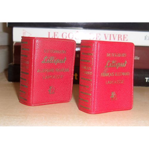 Dictionnaire Lilliput : Allemand-Français - Français-Allemand