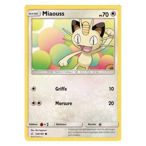 Miaouss (125/181)