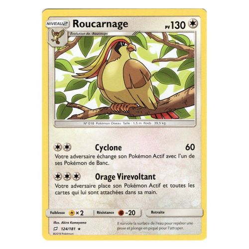 Roucarnage (124/181)