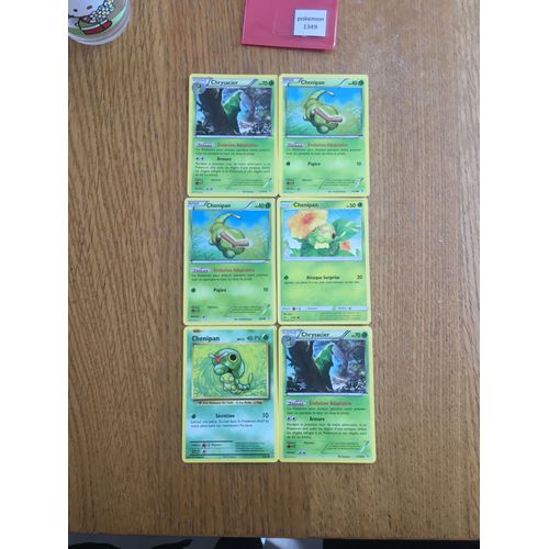 (1349) 2x Chrysacier + 4x Chenipan (Pokemon)