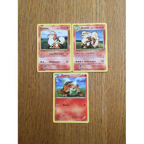(1375) 2x Caninos + Arcanin (Pokemon)