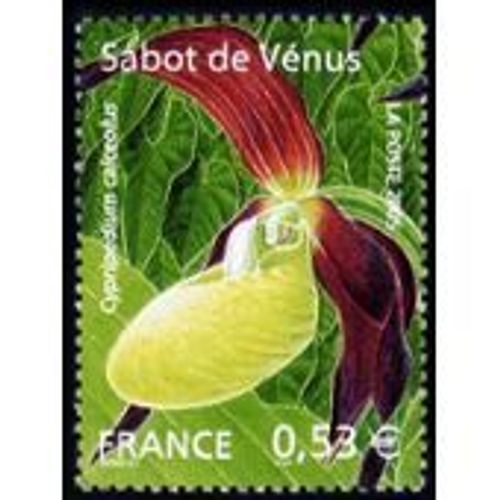 Timbres France 2005 Neuf ** Bdf Yt N° 3764 Sabot De Vénus