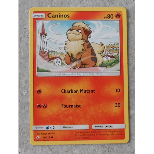 Caninos 21/214 - Sl10 - Alliance Infaillible - Vf