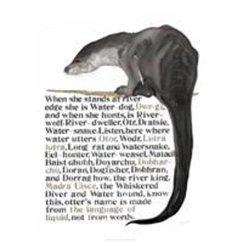 Jackie Morris The Names Of The Otter Poster