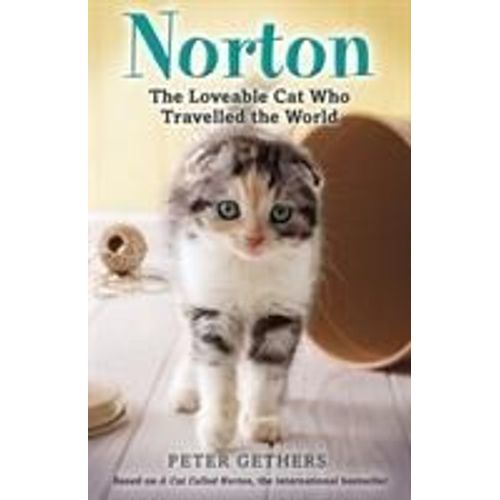 Norton, The Loveable Cat Who Travelled The World