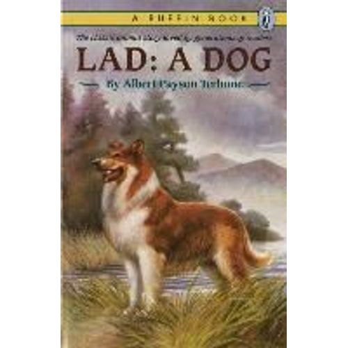 Lad
