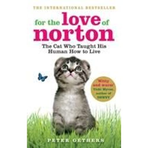 For The Love Of Norton: The Cat Who Taught His Human How To Live