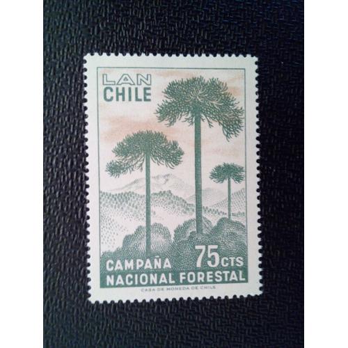 Timbre Chili Yt Pa 239 Campagne De Reforestation Araucaria 1967 ( 080512 )